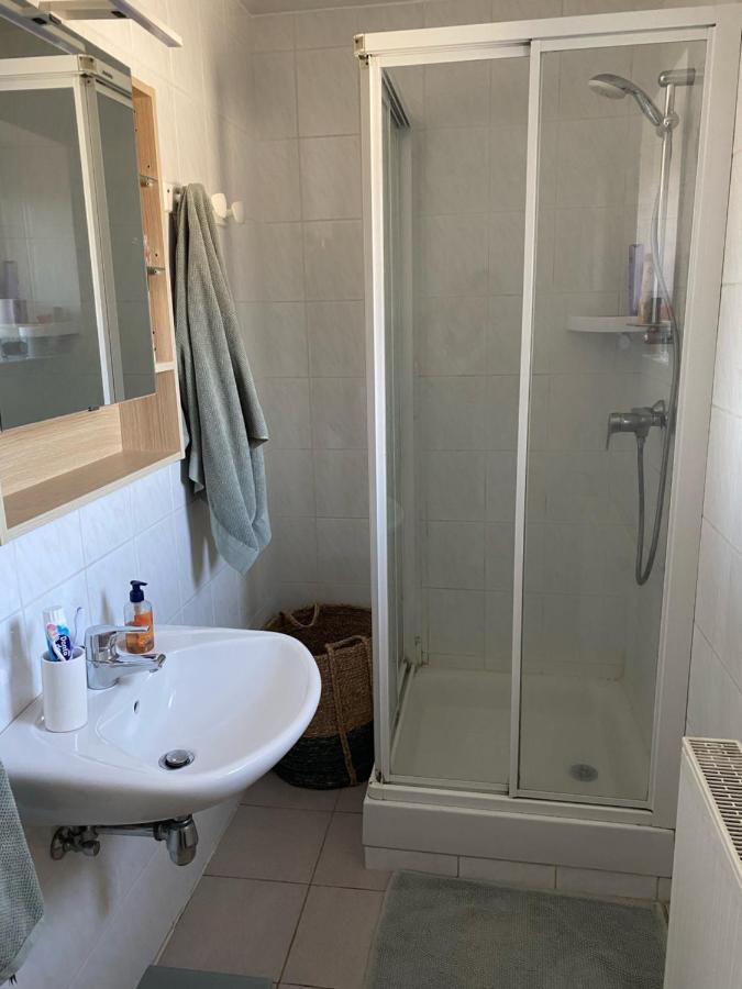 Les Pampas Apartment Montbronn Ngoại thất bức ảnh